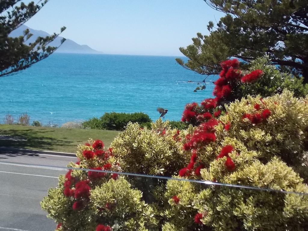 Bed and Breakfast The Hamptons Kaikoura Zimmer foto